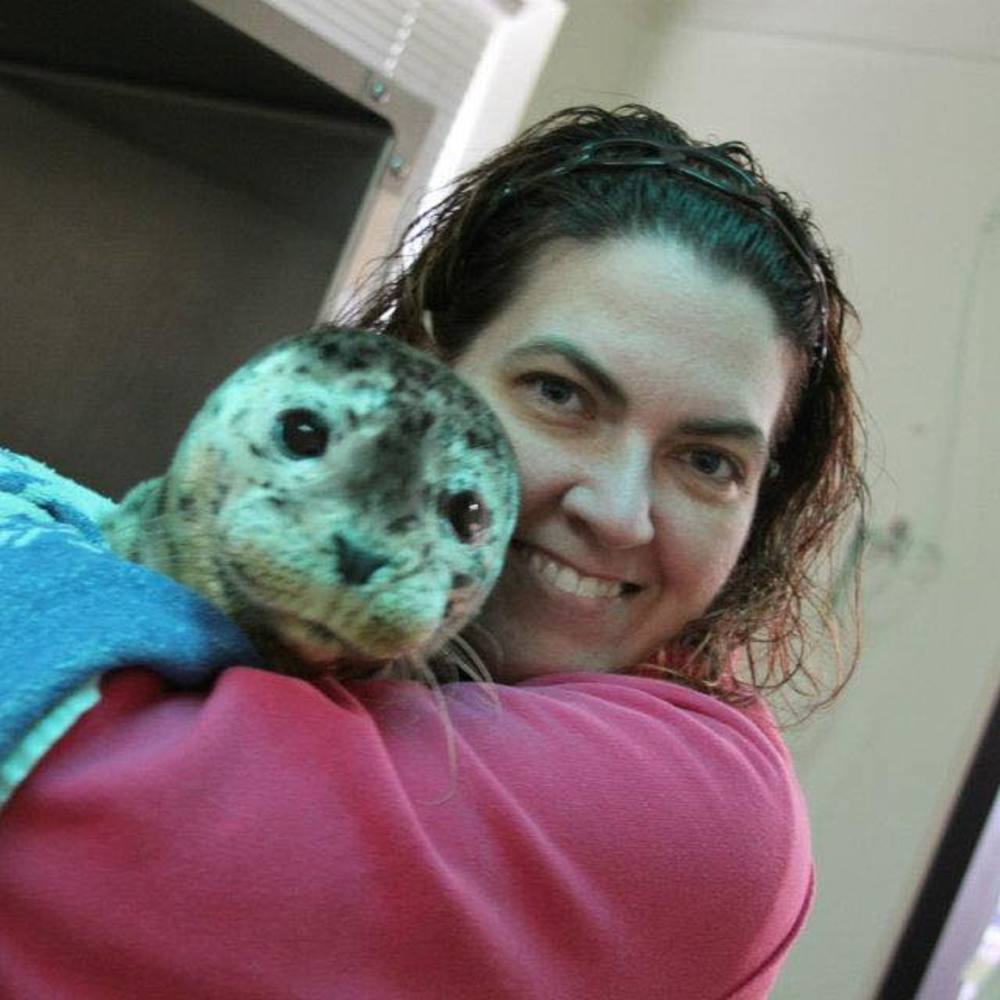 Meet your Posher, Miranda